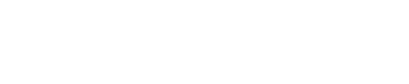 Prisma Motors